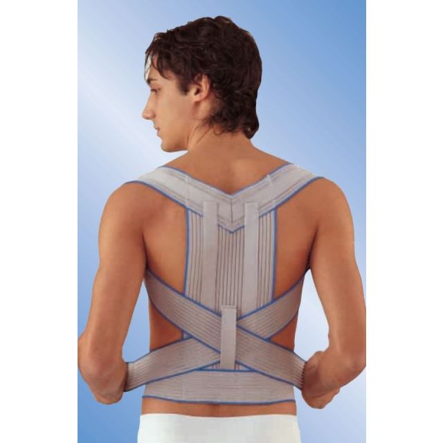 Raddrizzaspalle steccato Scudotex 622